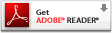 Get Adobe Reader 8.1